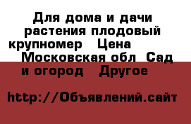 Для дома и дачи-растения плодовый крупномер › Цена ­ 10 900 - Московская обл. Сад и огород » Другое   